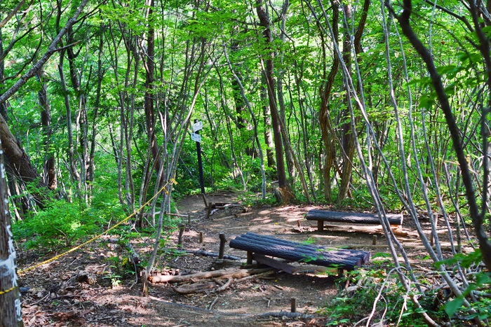 f:id:threepeaks:20190604233552j:plain