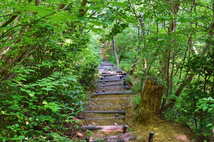 f:id:threepeaks:20190604233627j:plain