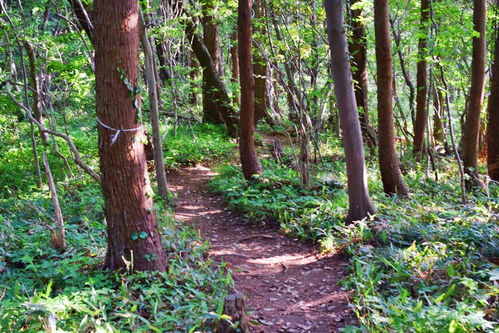 f:id:threepeaks:20190604234112j:plain