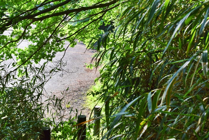 f:id:threepeaks:20190604234346j:plain