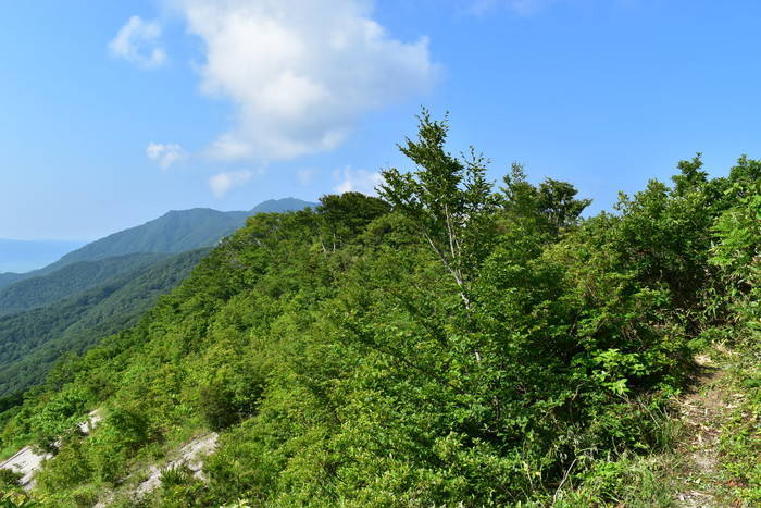 f:id:threepeaks:20190713212133j:plain