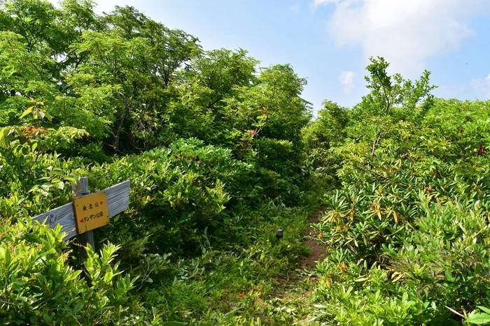 f:id:threepeaks:20190713213448j:plain