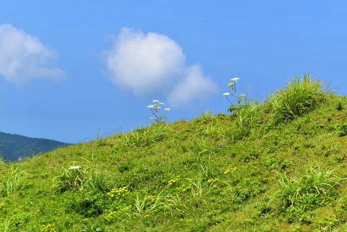 f:id:threepeaks:20190713215541j:plain