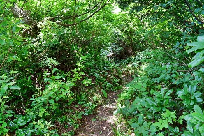 f:id:threepeaks:20190713220213j:plain