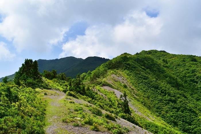 f:id:threepeaks:20190713220333j:plain