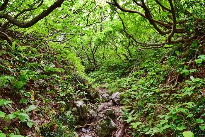 f:id:threepeaks:20190713221005j:plain