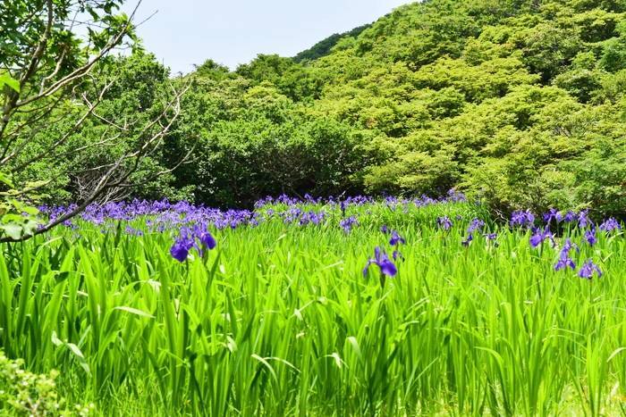 f:id:threepeaks:20190713221357j:plain