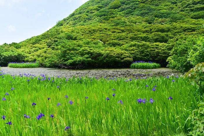 f:id:threepeaks:20190713221420j:plain