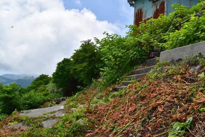 f:id:threepeaks:20190713223836j:plain