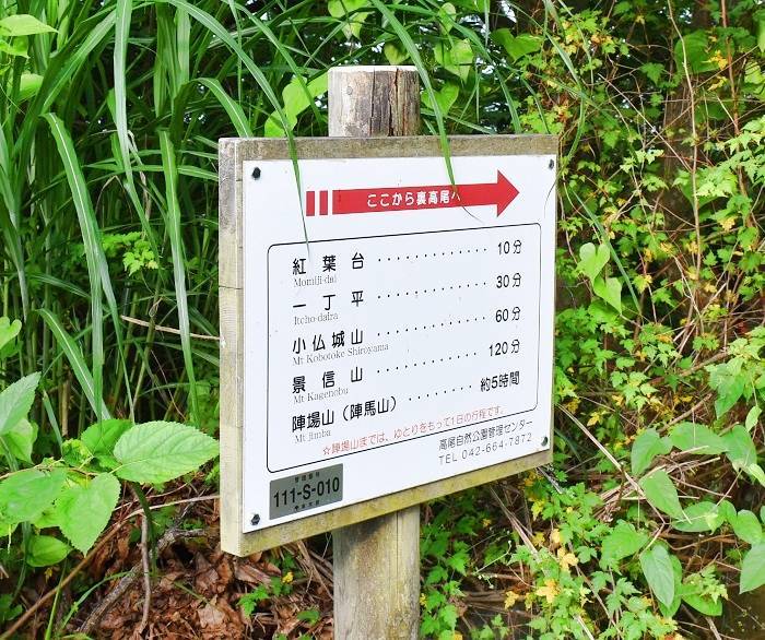 f:id:threepeaks:20190729205123j:plain
