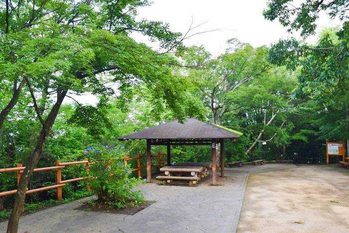f:id:threepeaks:20190729205240j:plain