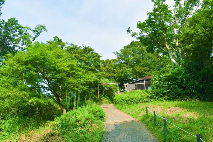 f:id:threepeaks:20190729210245j:plain