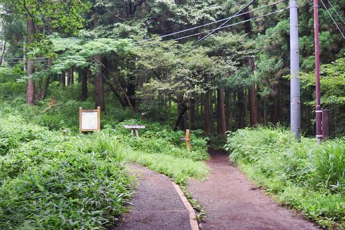 f:id:threepeaks:20190729212802j:plain