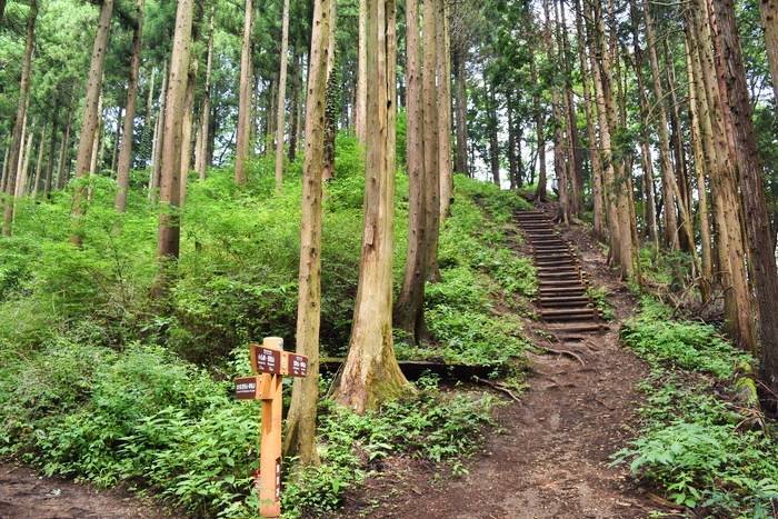 f:id:threepeaks:20190729221925j:plain