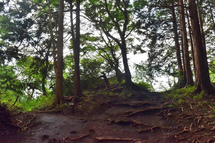 f:id:threepeaks:20190729223150j:plain