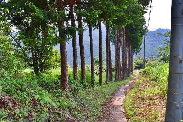f:id:threepeaks:20190729233029j:plain