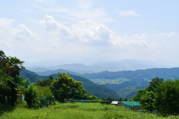 f:id:threepeaks:20190729233107j:plain