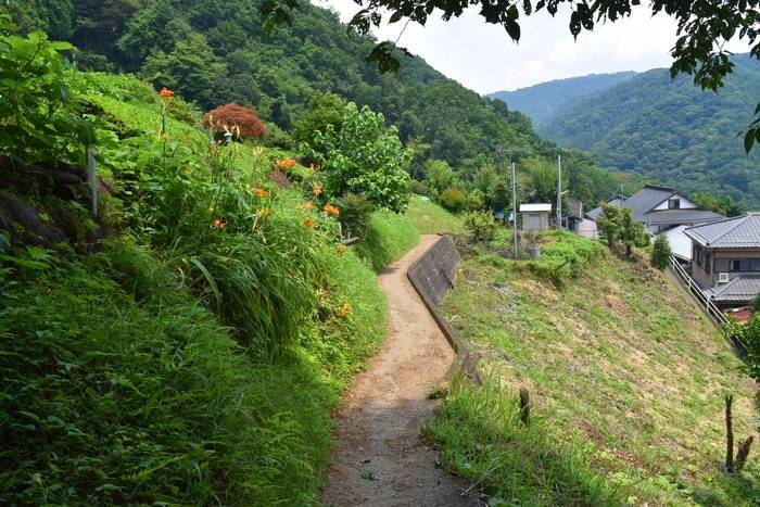 f:id:threepeaks:20190729233203j:plain