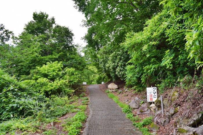 f:id:threepeaks:20190730175949j:plain
