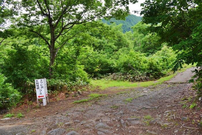 f:id:threepeaks:20190730180041j:plain