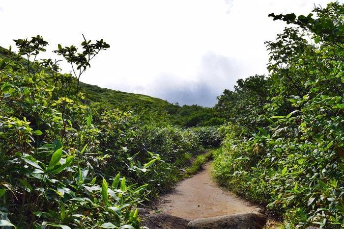 f:id:threepeaks:20190730221615j:plain