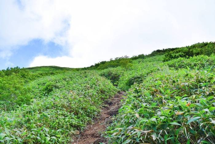 f:id:threepeaks:20190730223209j:plain