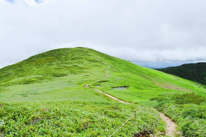 f:id:threepeaks:20190730231752j:plain