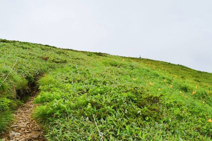 f:id:threepeaks:20190730231839j:plain