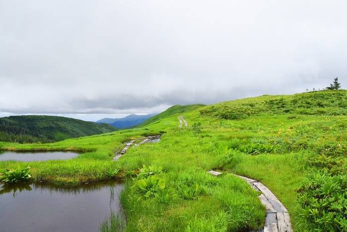 f:id:threepeaks:20190730233510j:plain