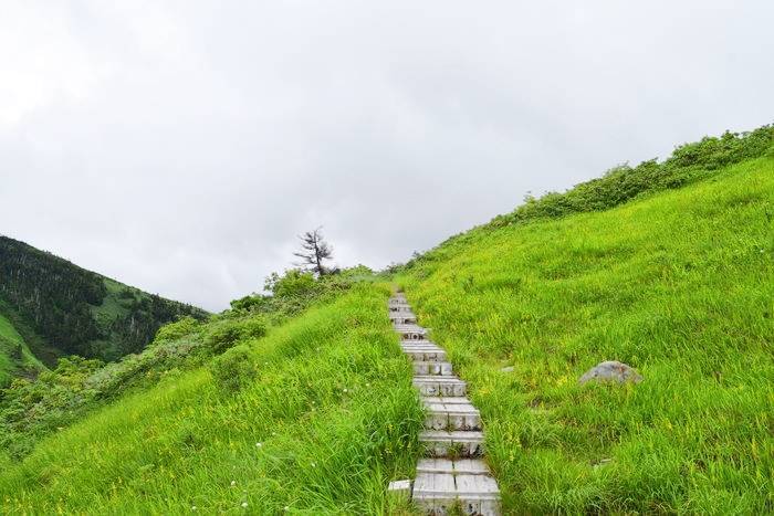 f:id:threepeaks:20190730233650j:plain