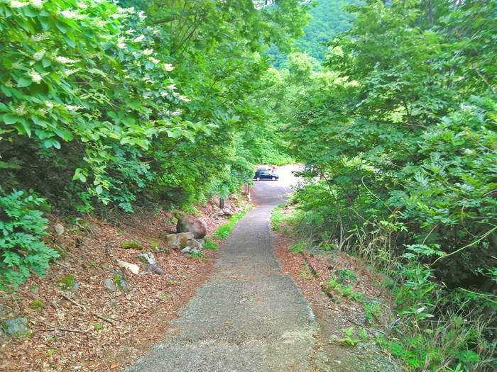 f:id:threepeaks:20190730235213j:plain