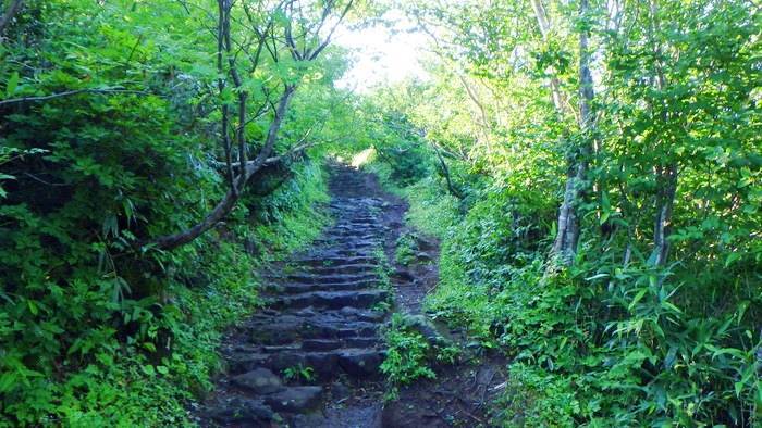 f:id:threepeaks:20190820001209j:plain f:id:threepeaks:20190820001209j:plain