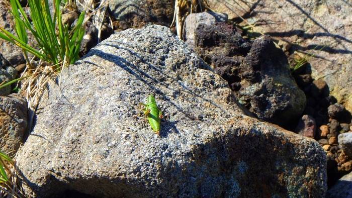 f:id:threepeaks:20190820005306j:plain f:id:threepeaks:20190820005306j:plain