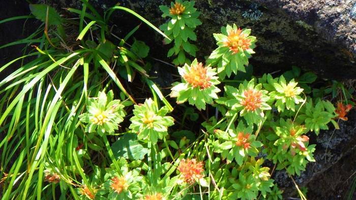 f:id:threepeaks:20190820013704j:plain f:id:threepeaks:20190820013704j:plain