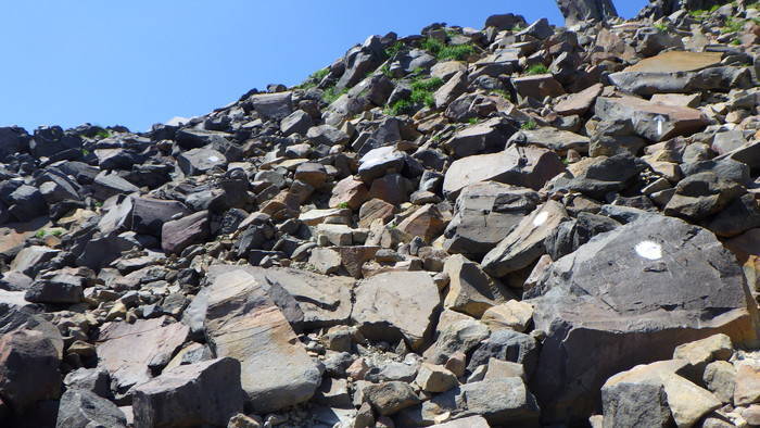 f:id:threepeaks:20190820132402j:plain f:id:threepeaks:20190820132402j:plain