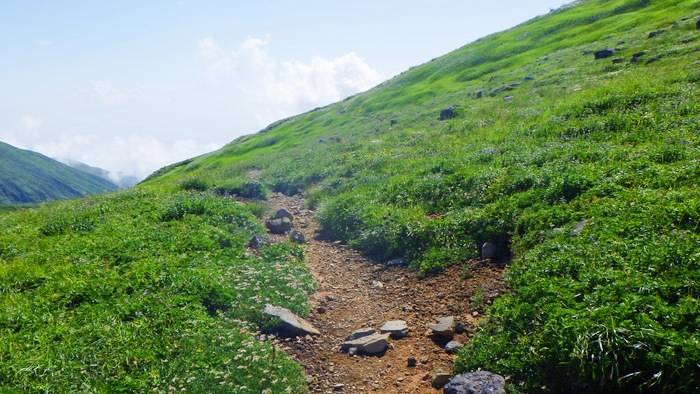 f:id:threepeaks:20190820153132j:plain f:id:threepeaks:20190820153132j:plain