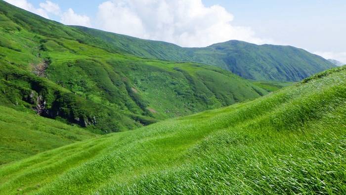 f:id:threepeaks:20190820153546j:plain f:id:threepeaks:20190820153546j:plain