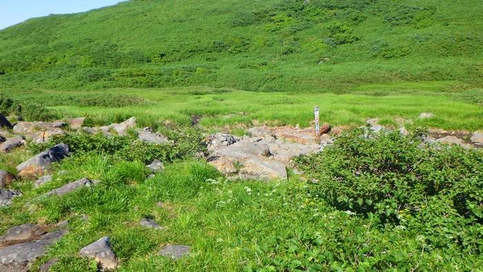 f:id:threepeaks:20190820185020j:plain f:id:threepeaks:20190820185020j:plain