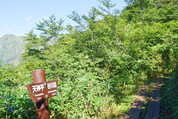 f:id:threepeaks:20190907235509j:plain