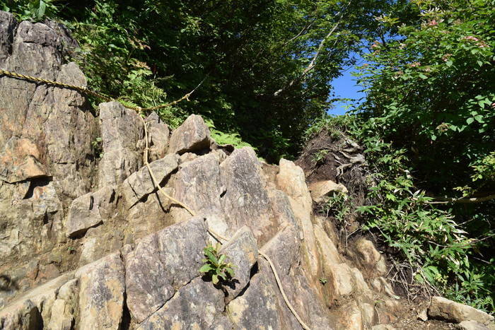 f:id:threepeaks:20190908000720j:plain