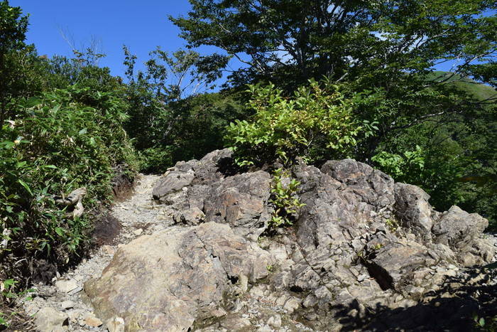 f:id:threepeaks:20190908202246j:plain