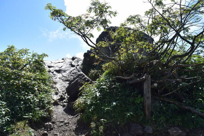 f:id:threepeaks:20190908203509j:plain