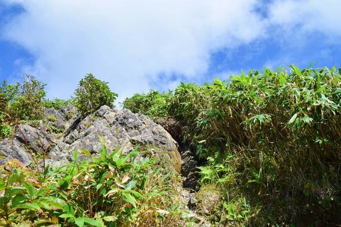 f:id:threepeaks:20190908203906j:plain