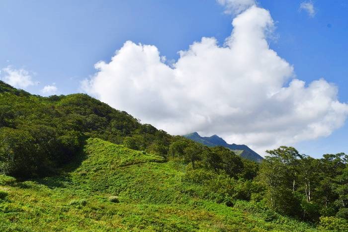 f:id:threepeaks:20190908222156j:plain