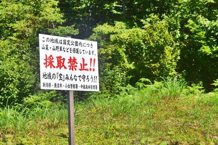 f:id:threepeaks:20190910221611j:plain