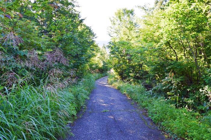 f:id:threepeaks:20190910221820j:plain