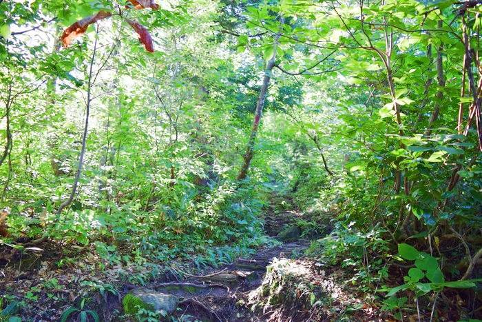 f:id:threepeaks:20190910222236j:plain