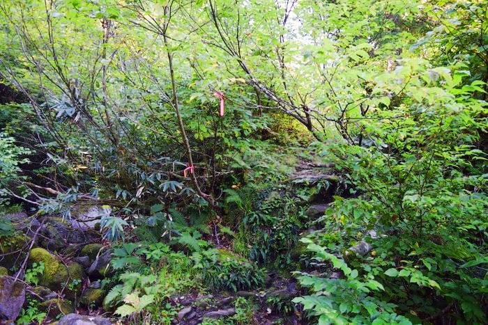 f:id:threepeaks:20190910222842j:plain