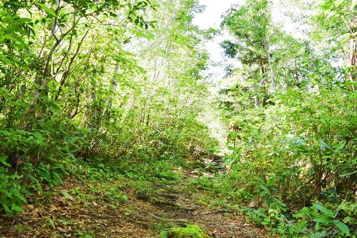 f:id:threepeaks:20190910222948j:plain