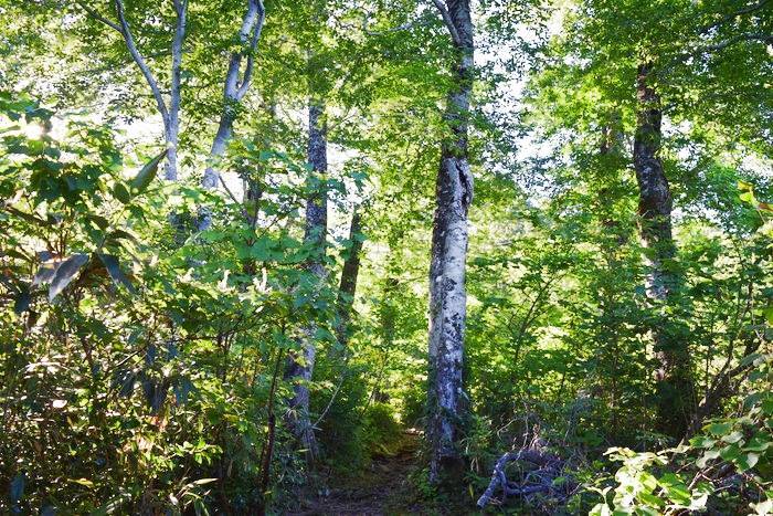 f:id:threepeaks:20190910223119j:plain